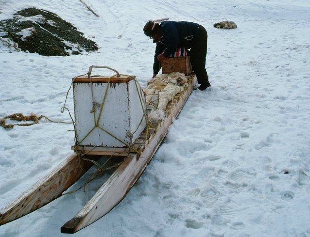 Inuit packing his sled in Nunavut (Photo: GettyImages)