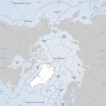 Arctic States' EEZs (map: Arctic Portal) 